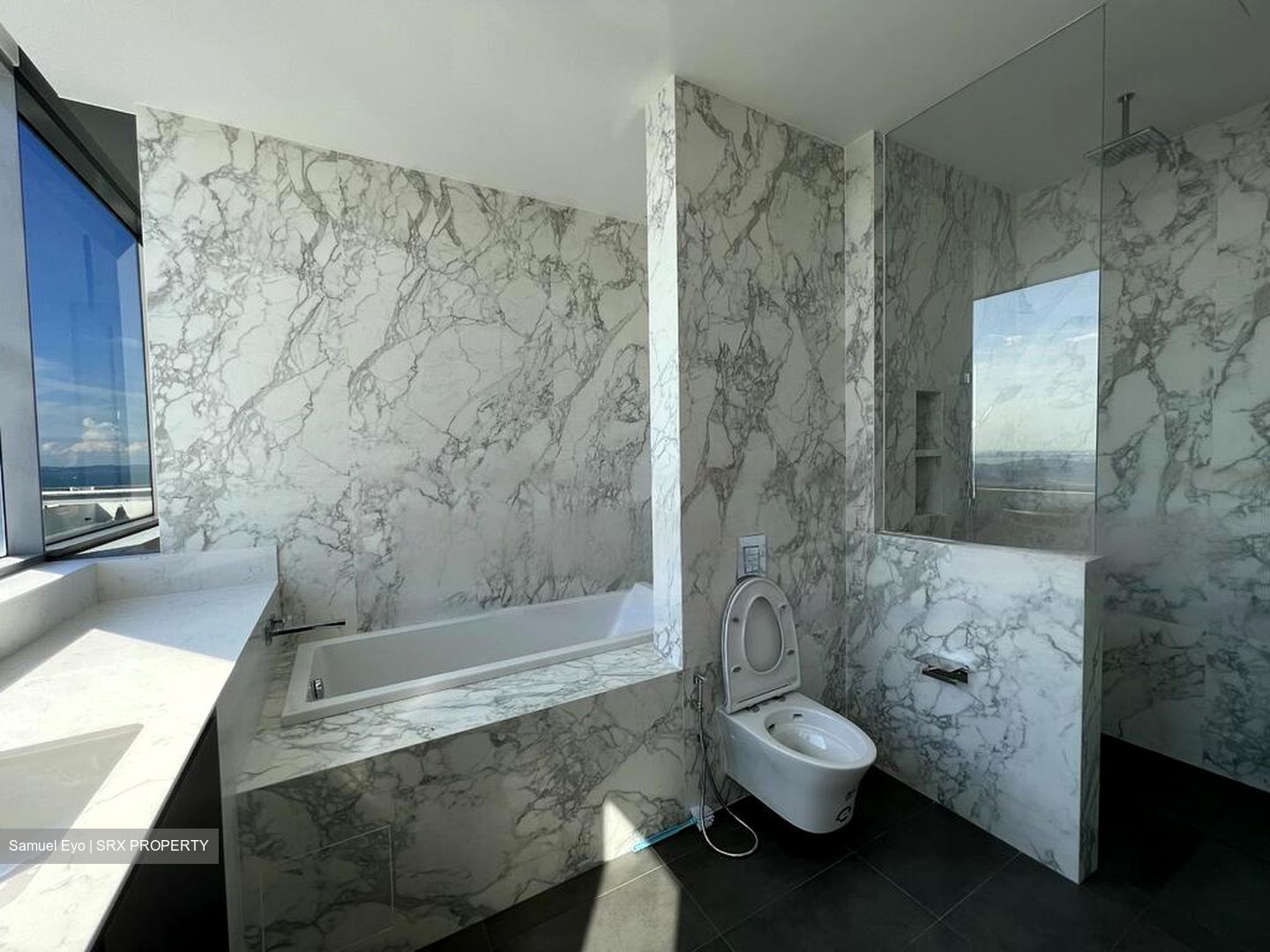 Lumiere (D2), Apartment #426117811